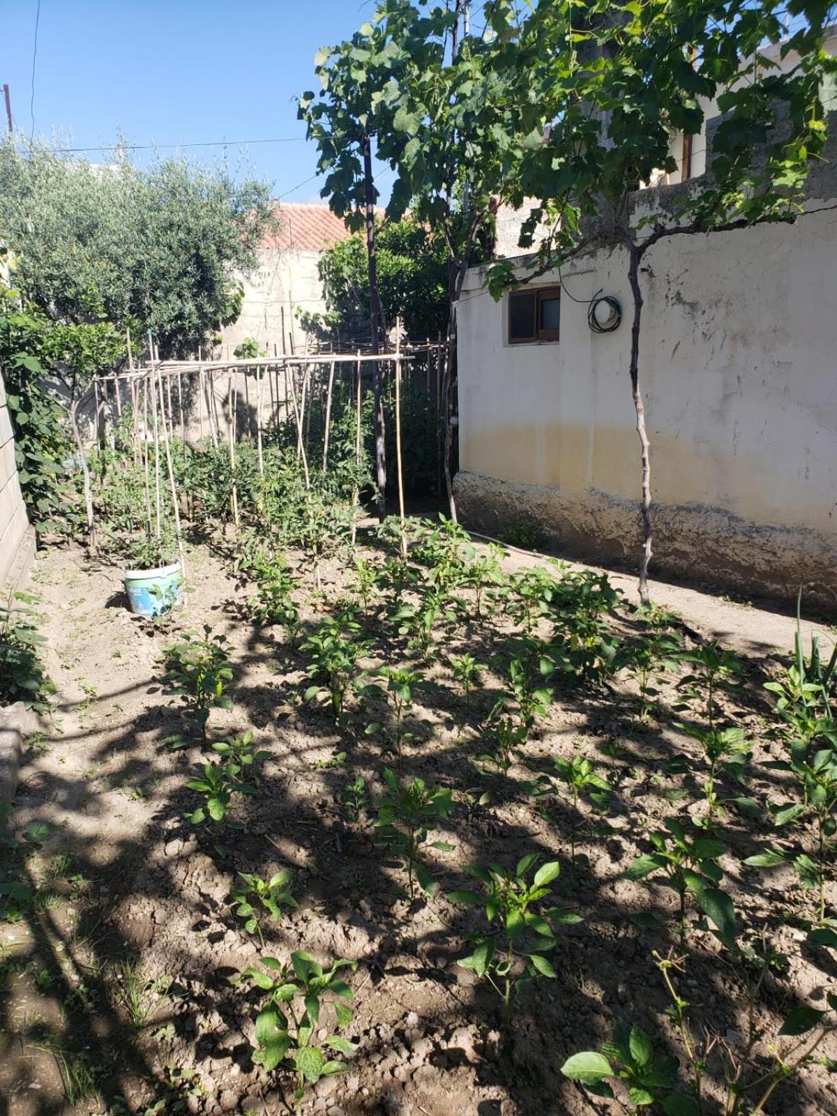 Homestay Private On A Shared Near